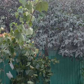 Продается Дом, 70 м²