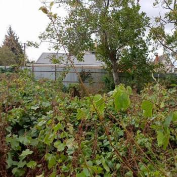 Продается Участок, 600 м²