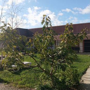 Продается Дом, 100 м²