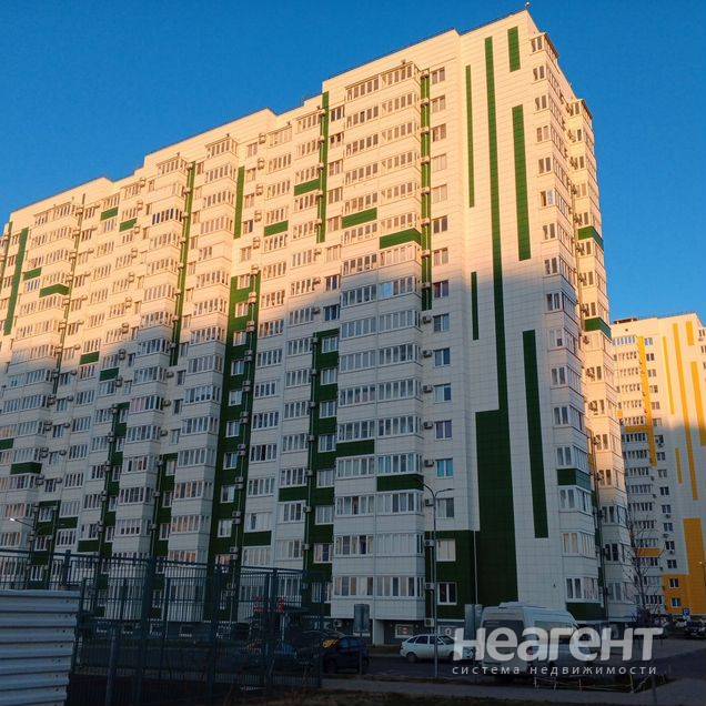 Фотография №2