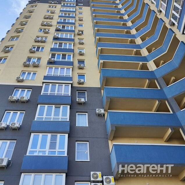 Фотография №2