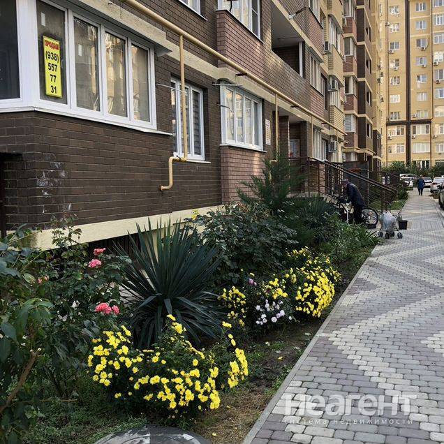 Фотография №2