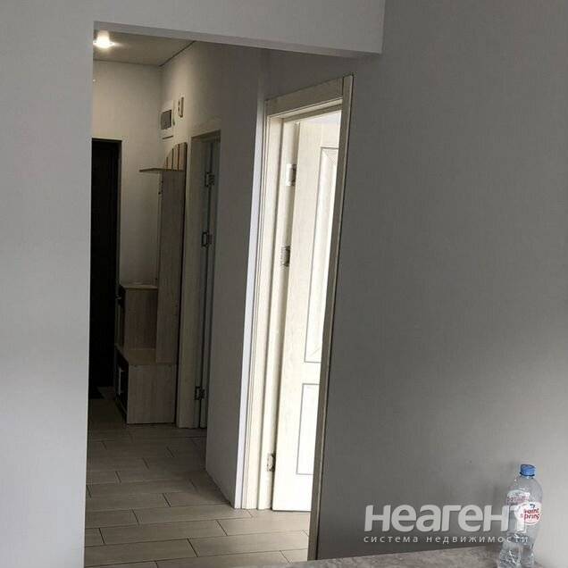 Фотография №3