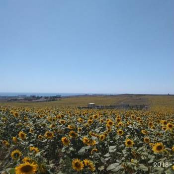 Продается Участок, 2000 м²