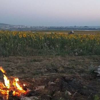 Продается Участок, 2000 м²