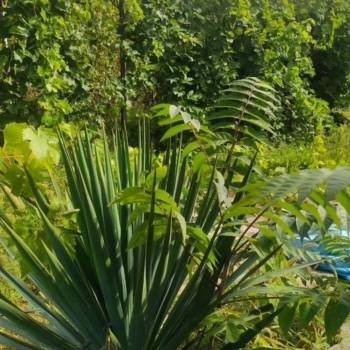 Продается Дом, 89,9 м²