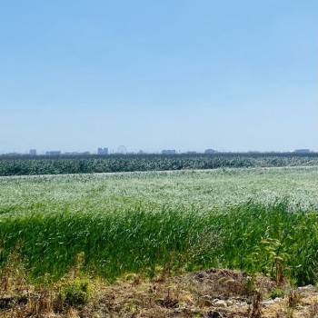 Продается Участок, 510 м²