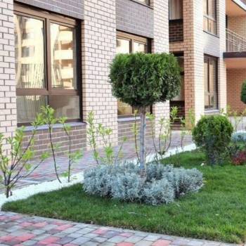 Сдается 1-комнатная квартира, 33 м²