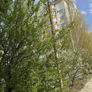 Продается 1-комнатная квартира, 41,5 м²