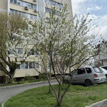 Продается 1-комнатная квартира, 41,5 м²
