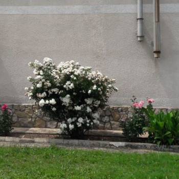 Продается Дом, 220 м²