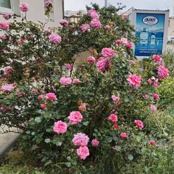 Продается 1-комнатная квартира, 37 м²