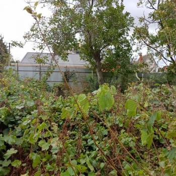 Продается Участок, 600 м²