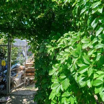 Продается Участок, 700 м²