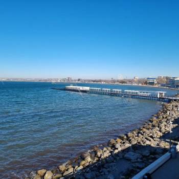 Сдается Нежилое помещение, 220 м²