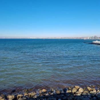 Сдается Нежилое помещение, 220 м²