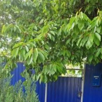 Продается 2-х комнатная квартира, 45,2 м²