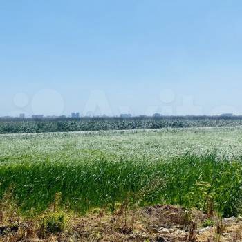 Продается Участок, 510 м²