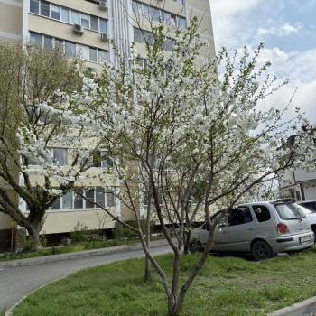 Продается 1-комнатная квартира, 41,5 м²