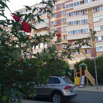 Продается 1-комнатная квартира, 43,6 м²