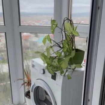 Сдается Многокомнатная квартира, 57 м²