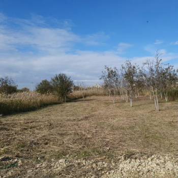 Продается Участок, 670 м²