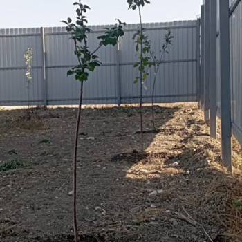 Продается Участок, 520 м²
