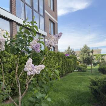 Продается 1-комнатная квартира, 32 м²