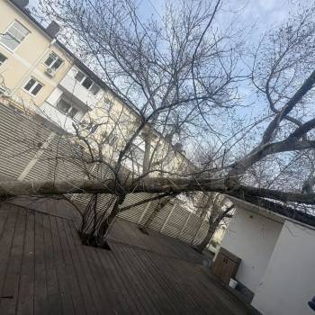 Сдается Нежилое помещение, 150 м²