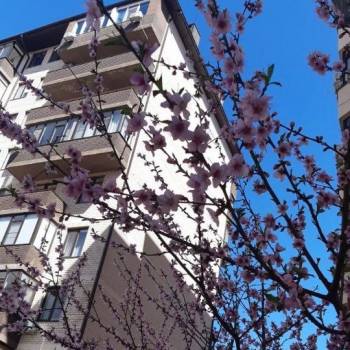 Сдается 1-комнатная квартира, 45 м²