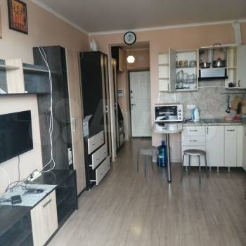 Продается 1-комнатная квартира, 25,4 м²