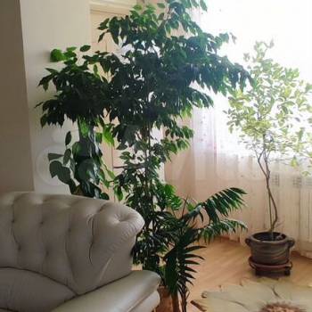 Продается 2-х комнатная квартира, 122 м²