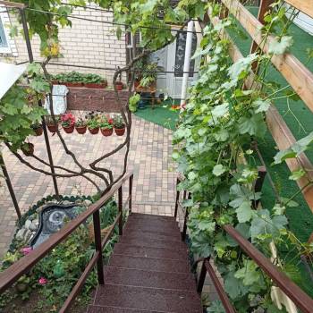 Сдается Комната, 15 м²