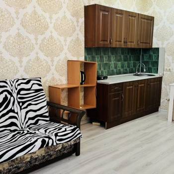 Сдается 1-комнатная квартира, 25,5 м²