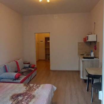 Продается 1-комнатная квартира, 29,5 м²