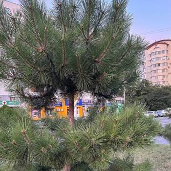 Продается 1-комнатная квартира, 34,8 м²