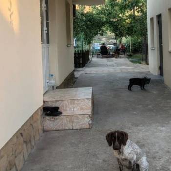 Продается Дом, 210 м²