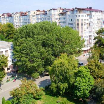 Сдается 2-х комнатная квартира, 50 м²