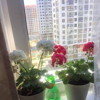 Продается 2-х комнатная квартира, 37 м²