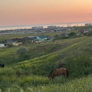 Продается Участок, 600 м²