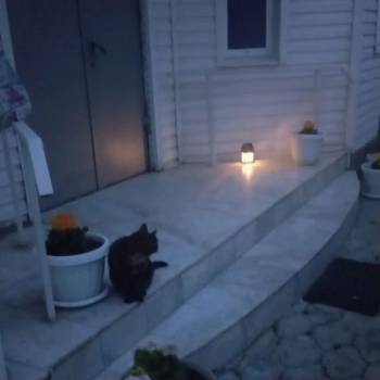 Сдается Комната, 16 м²