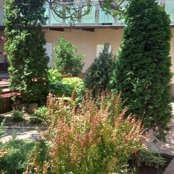 Сдается Посуточно, 16 м²