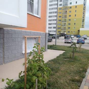 Сдается 2-х комнатная квартира, 60 м²