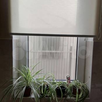 Сдается Дом, 42 м²