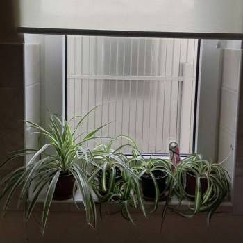 Сдается Дом, 42 м²