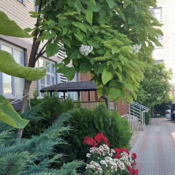 Продается 1-комнатная квартира, 51,4 м²