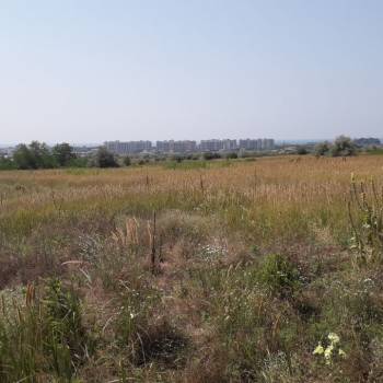 Продается Участок, 17000 м²