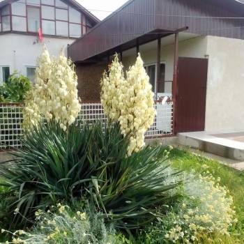 Сдается Дом, 35 м²