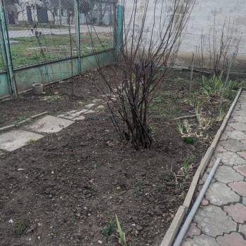 Продается Участок, 350 м²