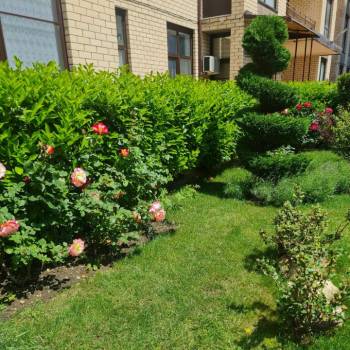 Сдается 1-комнатная квартира, 26 м²